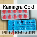 Kamagra Gold new14